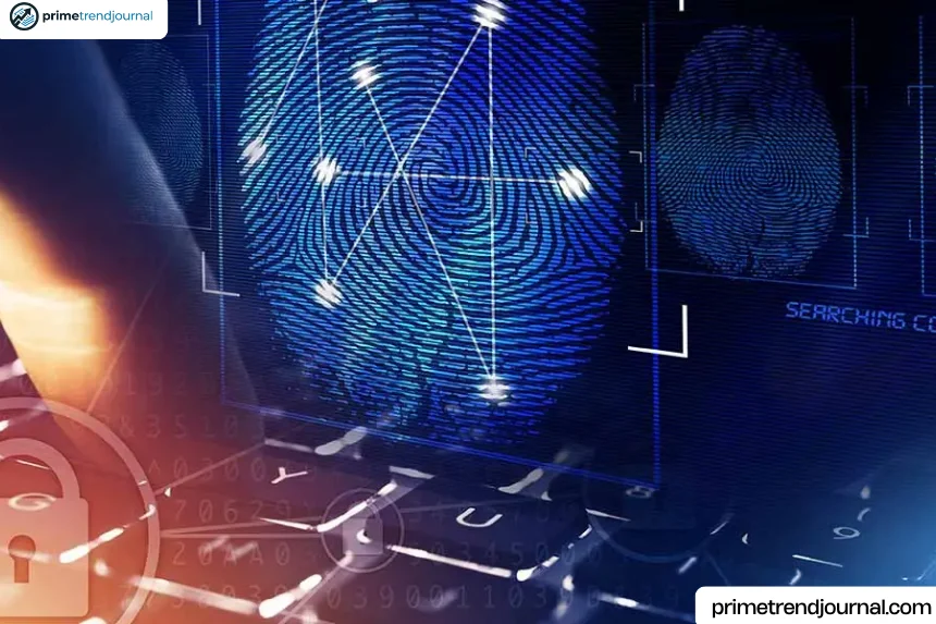 forensic analysis consulting fees for business decisions
