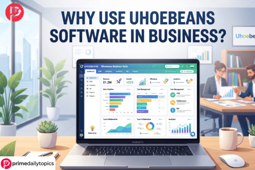 Why Use Uhoebeans Software in Business